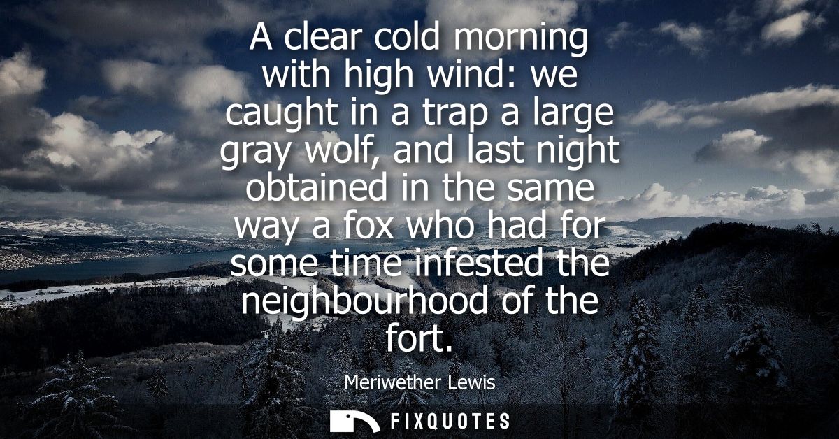 A clear cold morning with high wind: we caught in a trap a large gray wolf, and last night obtained in the same way a fo
