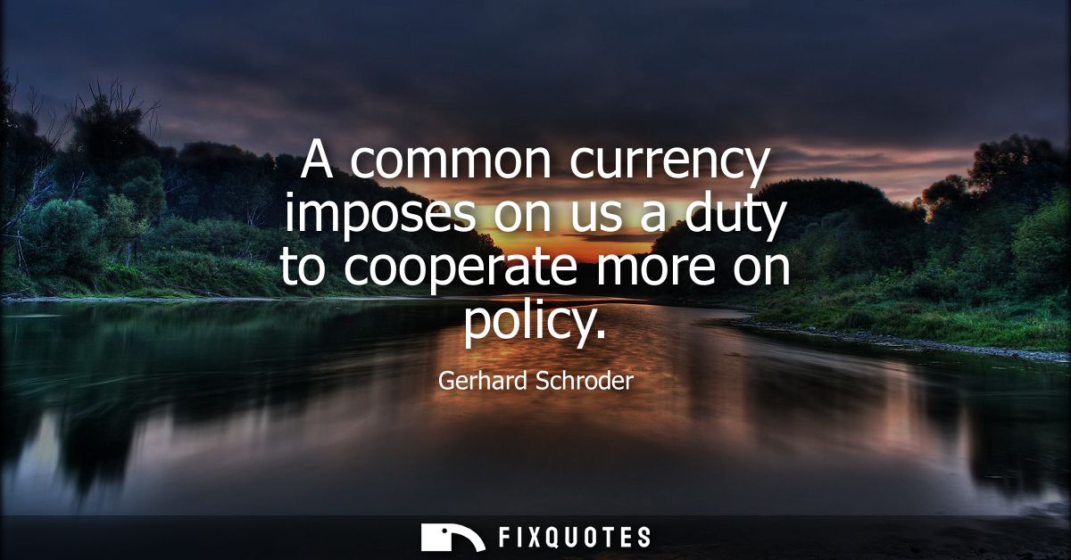 A common currency imposes on us a duty to cooperate more on policy