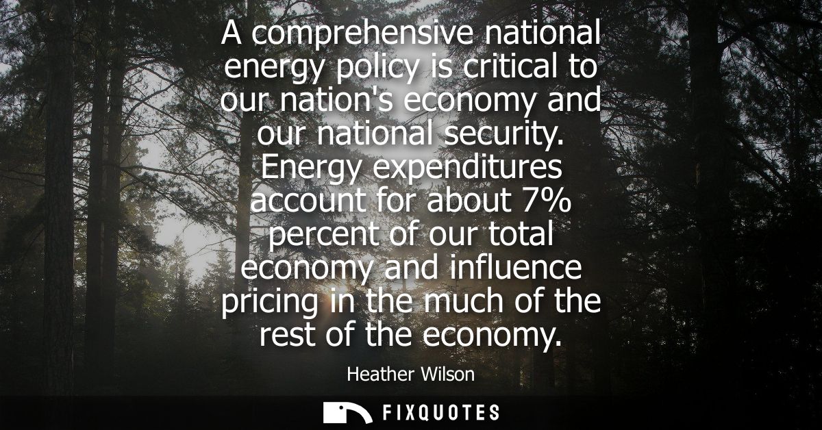 A comprehensive national energy policy is critical to our nations economy and our national security. Energy expenditures