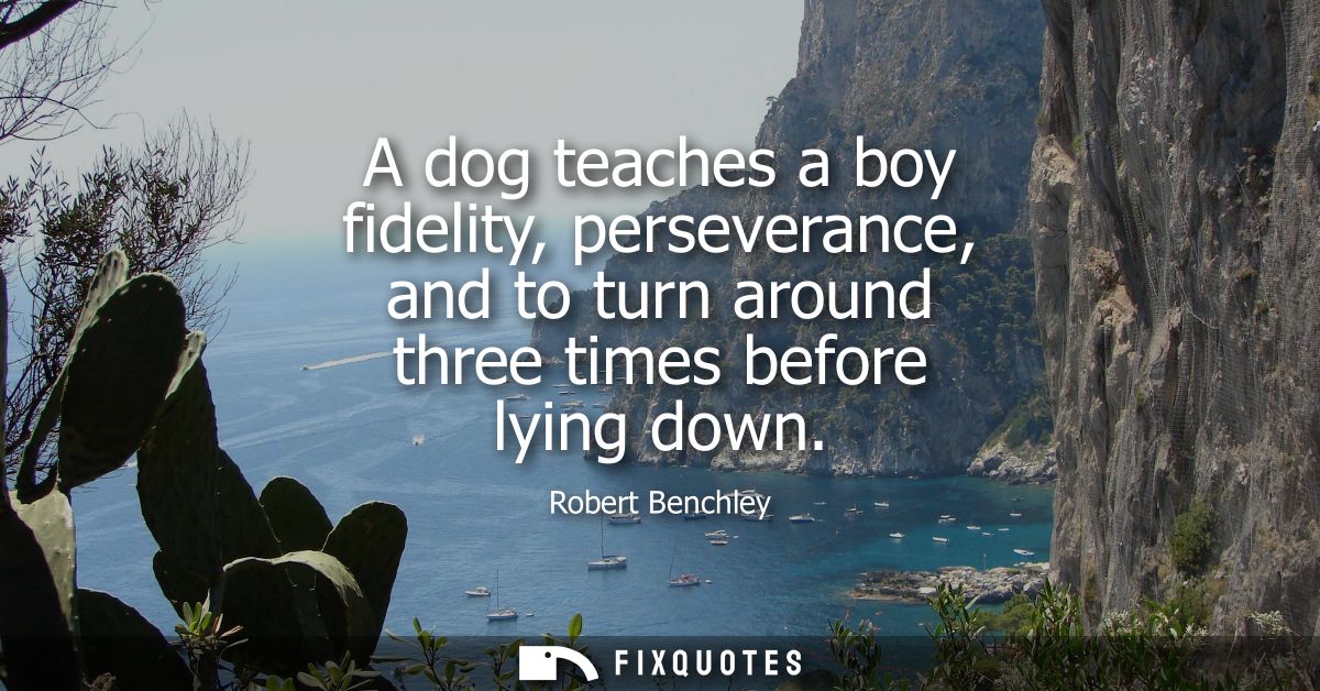 A dog teaches a boy fidelity, perseverance, and to turn around three times before lying down
