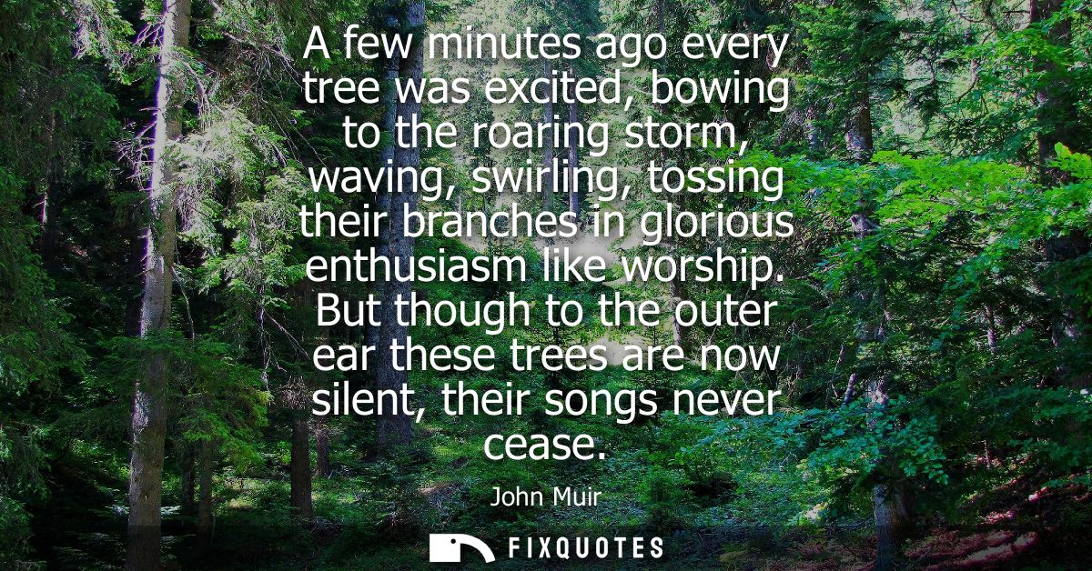 A few minutes ago every tree was excited, bowing to the roaring storm, waving, swirling, tossing their branches in glori