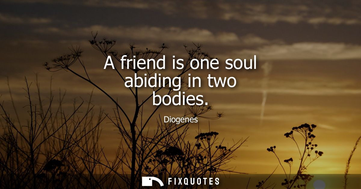 A friend is one soul abiding in two bodies