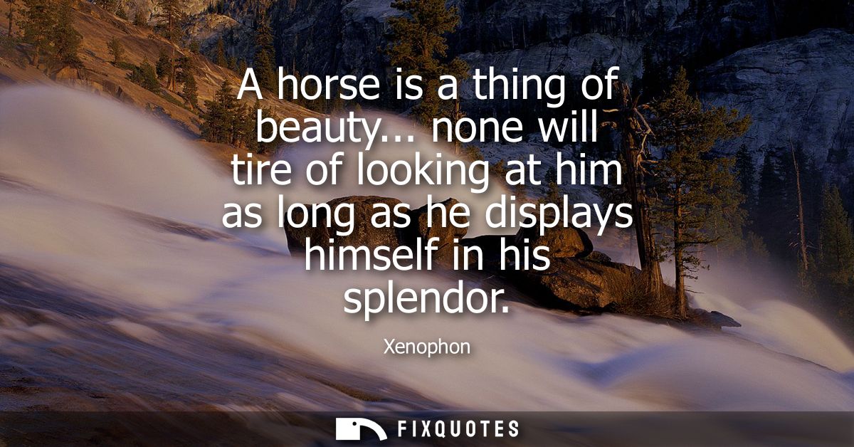 A horse is a thing of beauty... none will tire of looking at him as long as he displays himself in his splendor