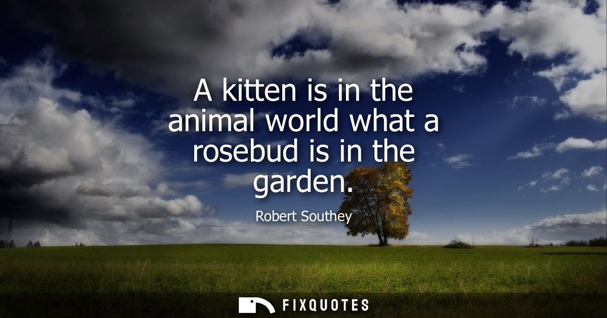 A kitten is in the animal world what a rosebud is in the garden - Robert Southey