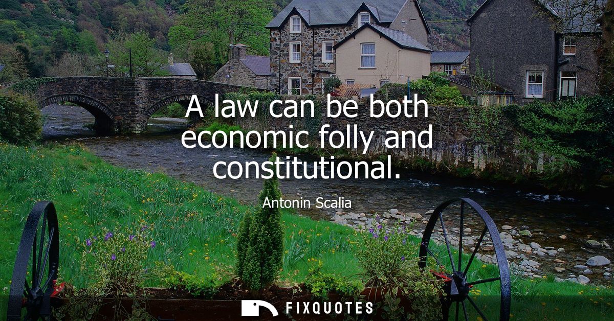 A law can be both economic folly and constitutional