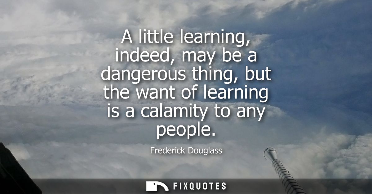 A little learning, indeed, may be a dangerous thing, but the want of learning is a calamity to any people