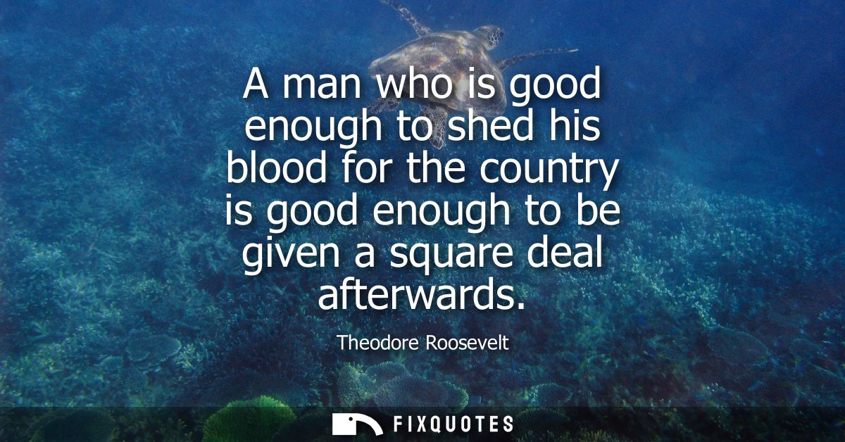 A man who is good enough to shed his blood for the country is good enough to be given a square deal afterwards