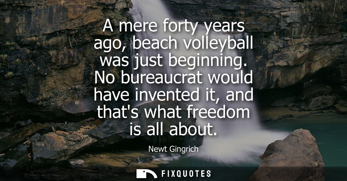 A mere forty years ago, beach volleyball was just beginning. No bureaucrat would have invented it, and thats what freedo