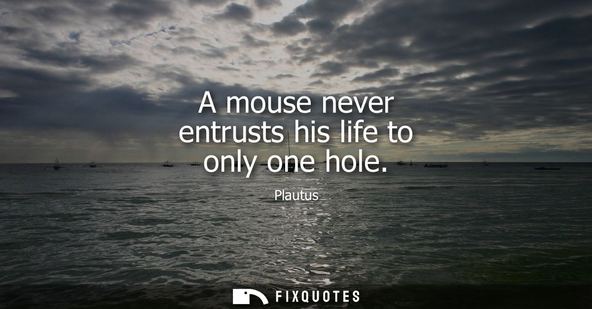 A mouse never entrusts his life to only one hole