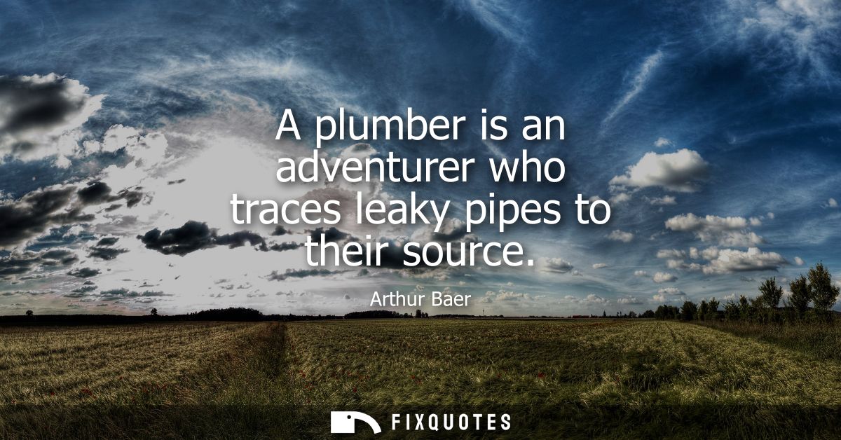 A plumber is an adventurer who traces leaky pipes to their source