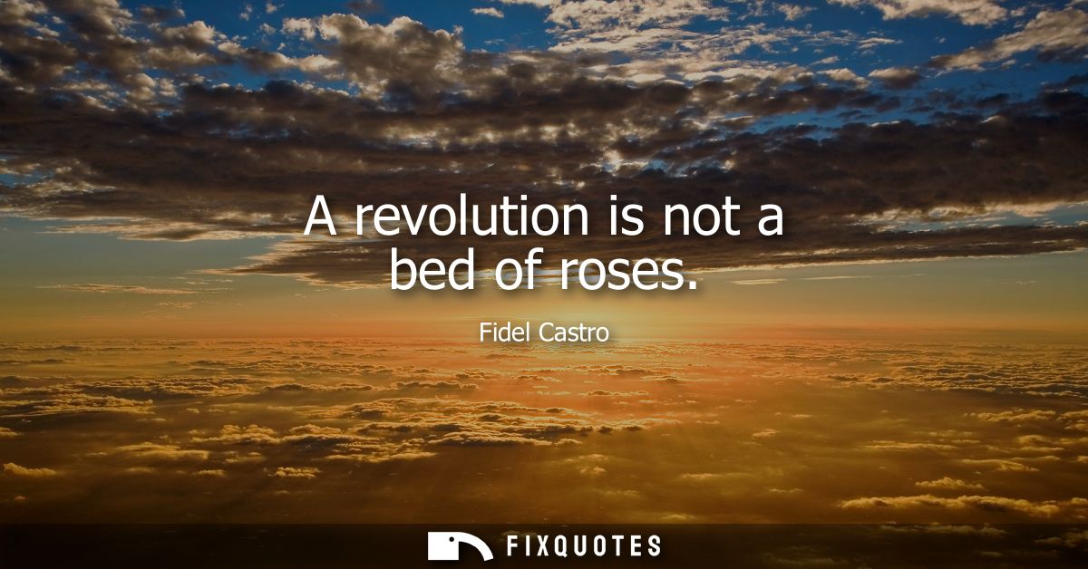 A revolution is not a bed of roses