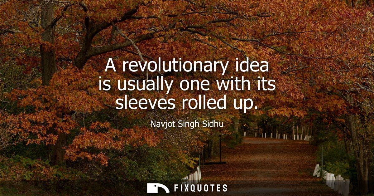 A revolutionary idea is usually one with its sleeves rolled up