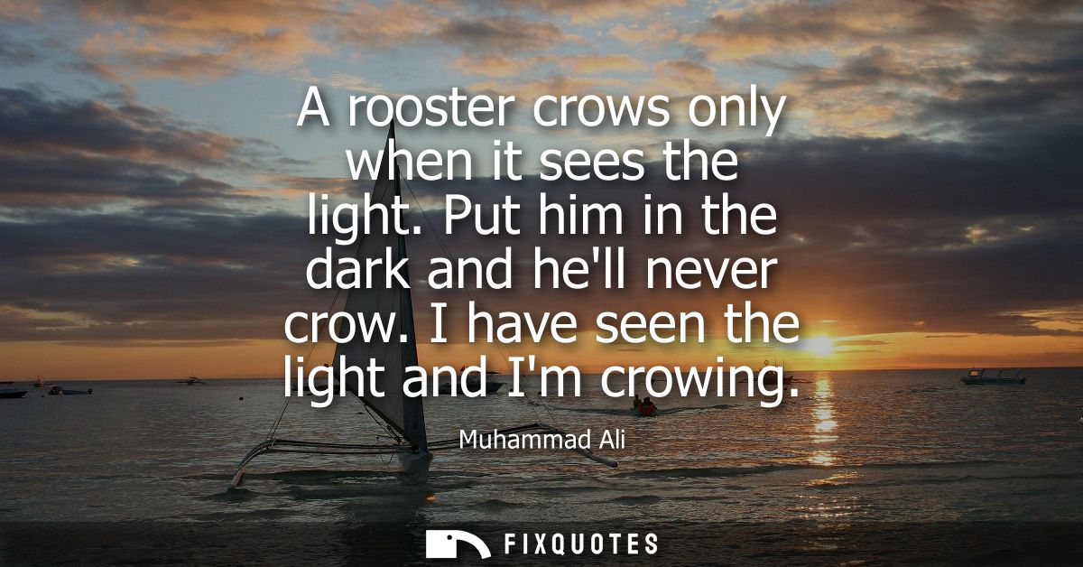 A rooster crows only when it sees the light. Put him in the dark and hell never crow. I have seen the light and Im crowi