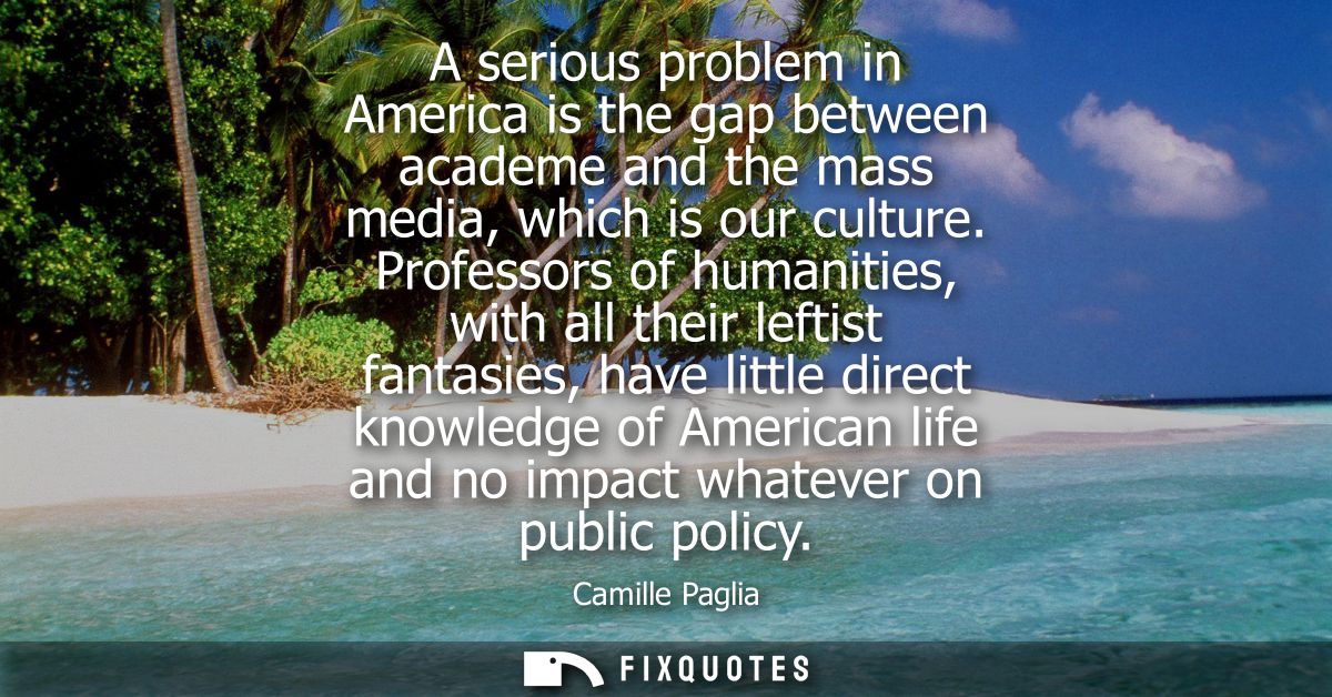 A serious problem in America is the gap between academe and the mass media, which is our culture. Professors of humaniti