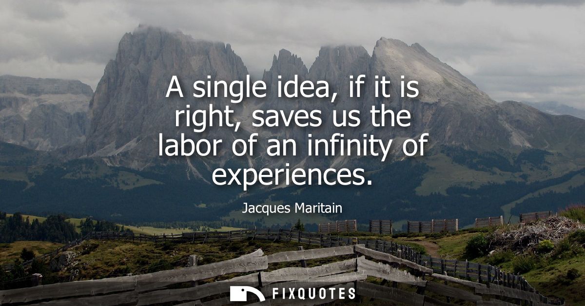 A single idea, if it is right, saves us the labor of an infinity of experiences