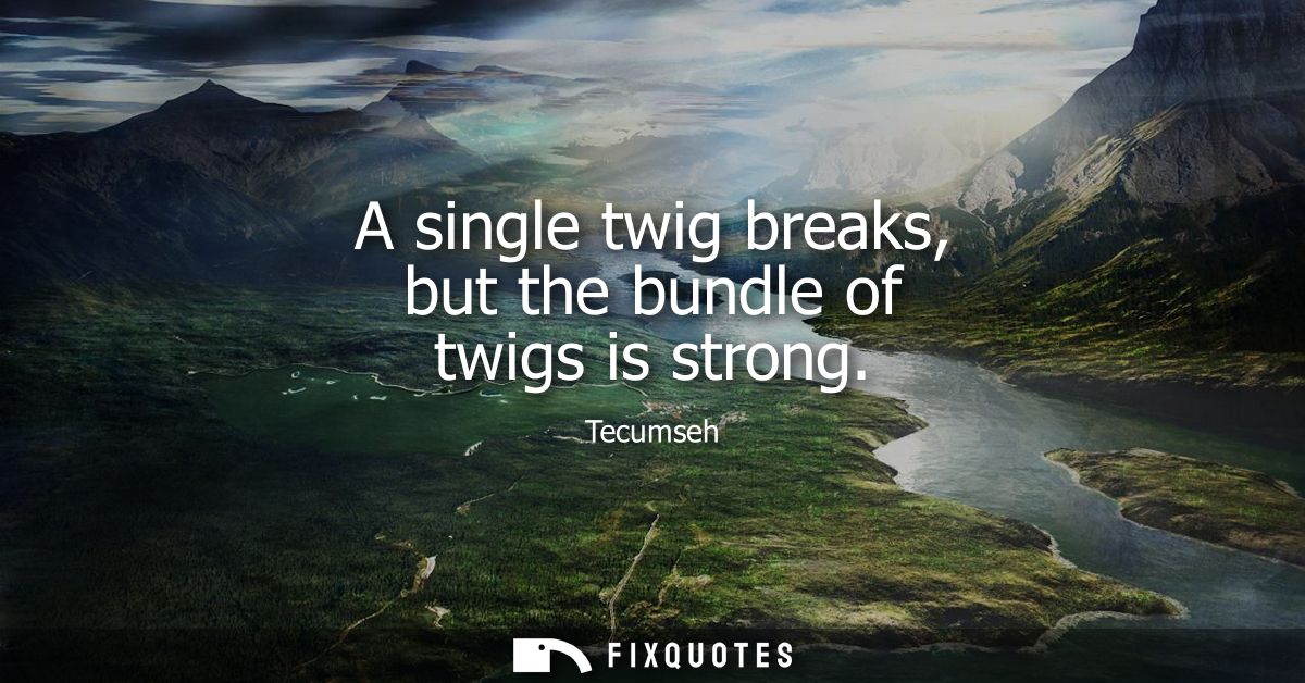 A single twig breaks, but the bundle of twigs is strong - Tecumseh