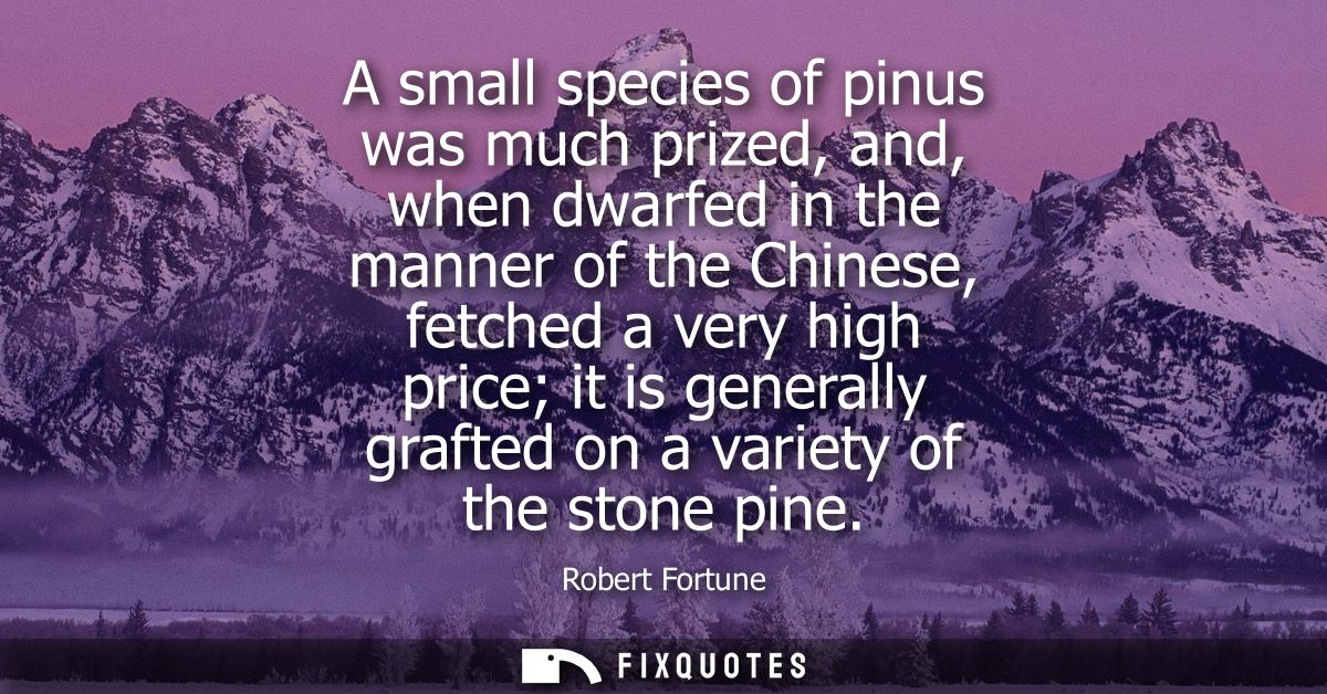 A small species of pinus was much prized, and, when dwarfed in the manner of the Chinese, fetched a very high price it i