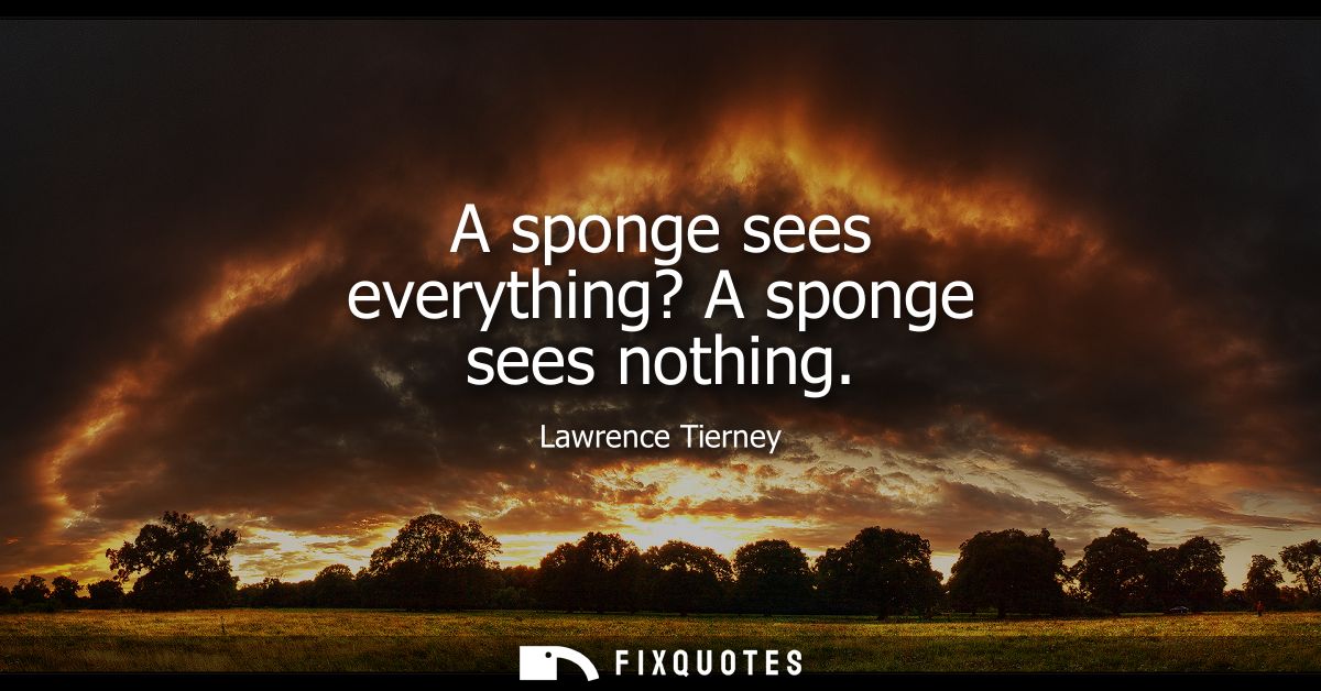 A sponge sees everything? A sponge sees nothing