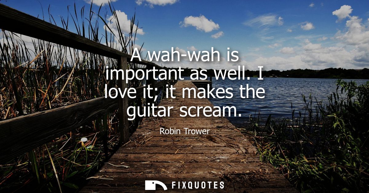 A wah-wah is important as well. I love it it makes the guitar scream