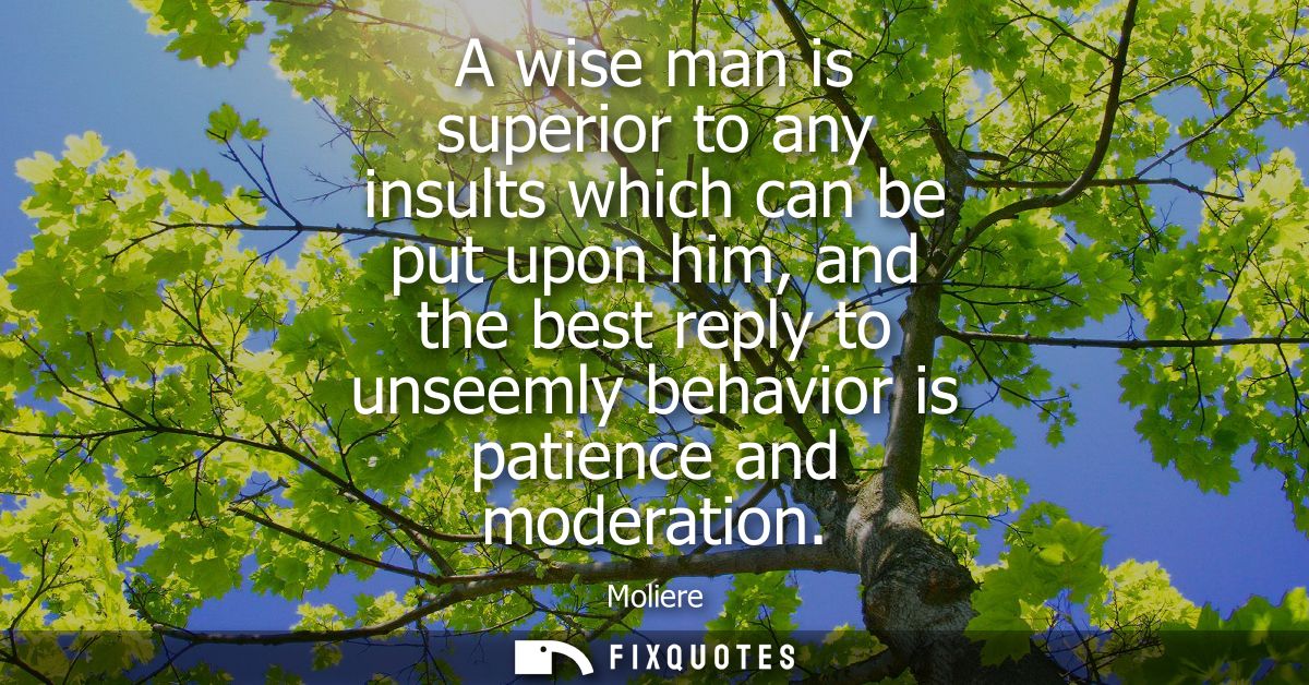 A wise man is superior to any insults which can be put upon him, and the best reply to unseemly behavior is patience and