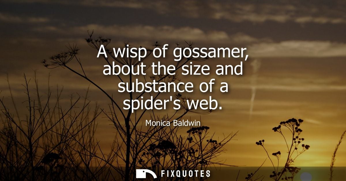 A wisp of gossamer, about the size and substance of a spiders web