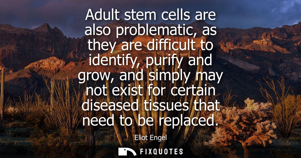 Adult stem cells are also problematic, as they are difficult to identify, purify and grow, and simply may not exist for 