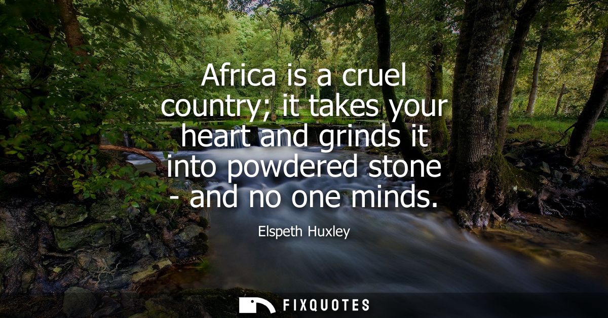 Africa is a cruel country it takes your heart and grinds it into powdered stone - and no one minds