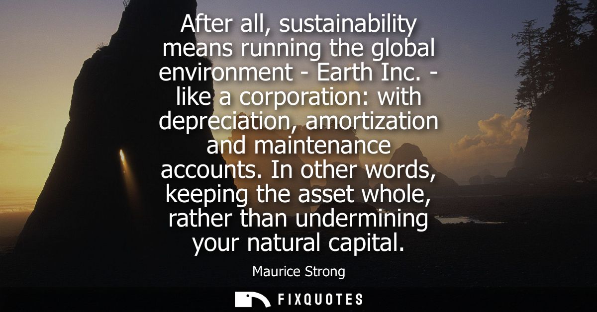 After all, sustainability means running the global environment - Earth Inc. - like a corporation: with depreciation, amo