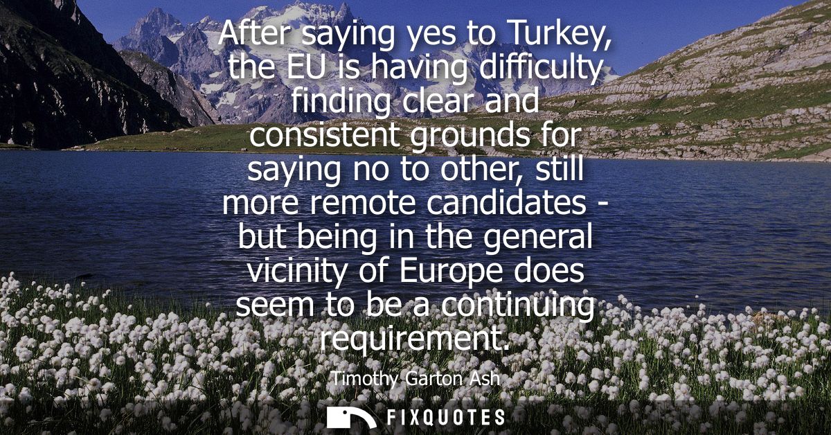 After saying yes to Turkey, the EU is having difficulty finding clear and consistent grounds for saying no to other, sti