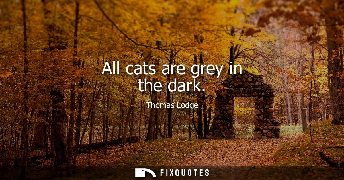 All cats are grey in the dark