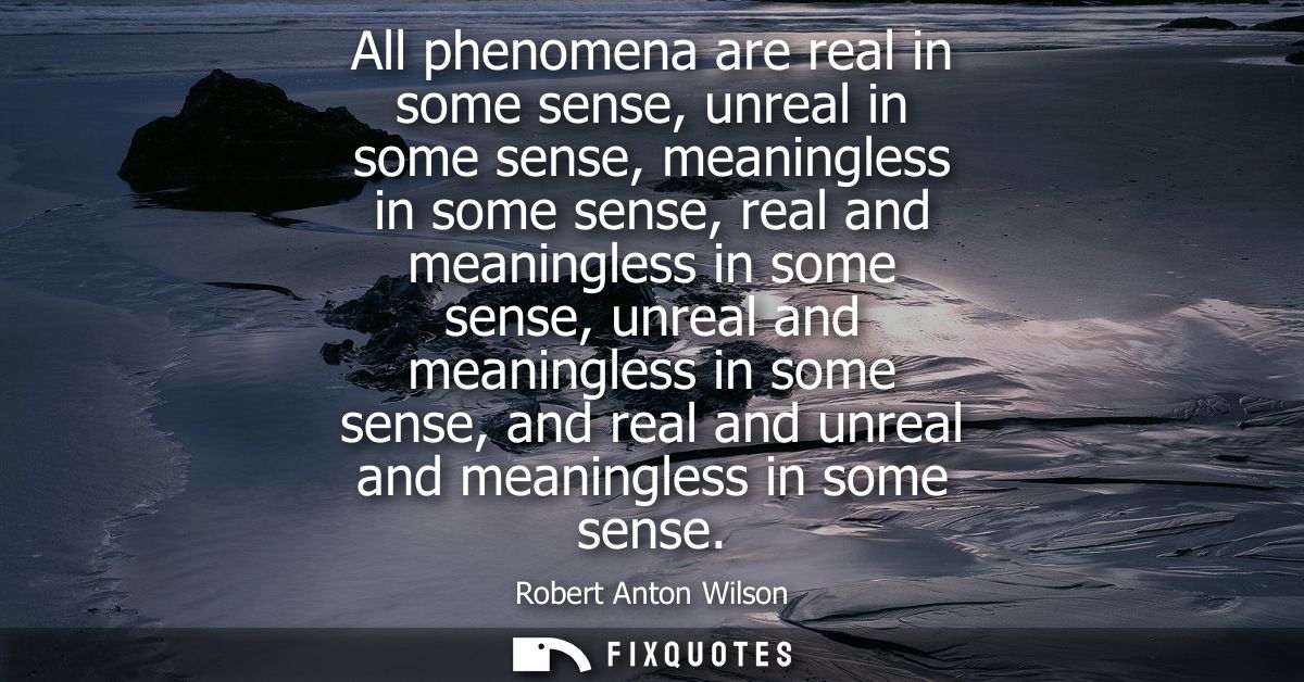 All phenomena are real in some sense, unreal in some sense, meaningless in some sense, real and meaningless in some sens
