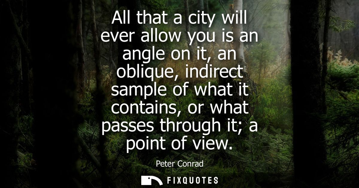 All that a city will ever allow you is an angle on it, an oblique, indirect sample of what it contains, or what passes t