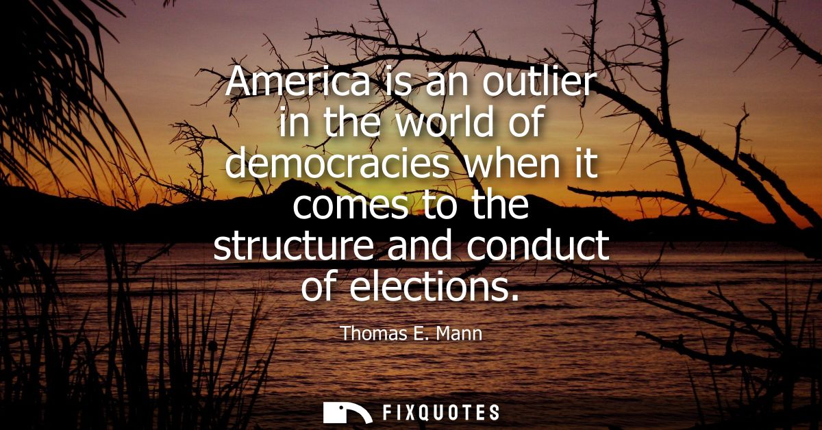 America is an outlier in the world of democracies when it comes to the structure and conduct of elections