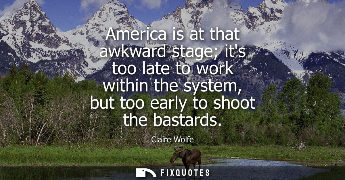 America is at that awkward stage its too late to work within the system, but too early to shoot the bastards
