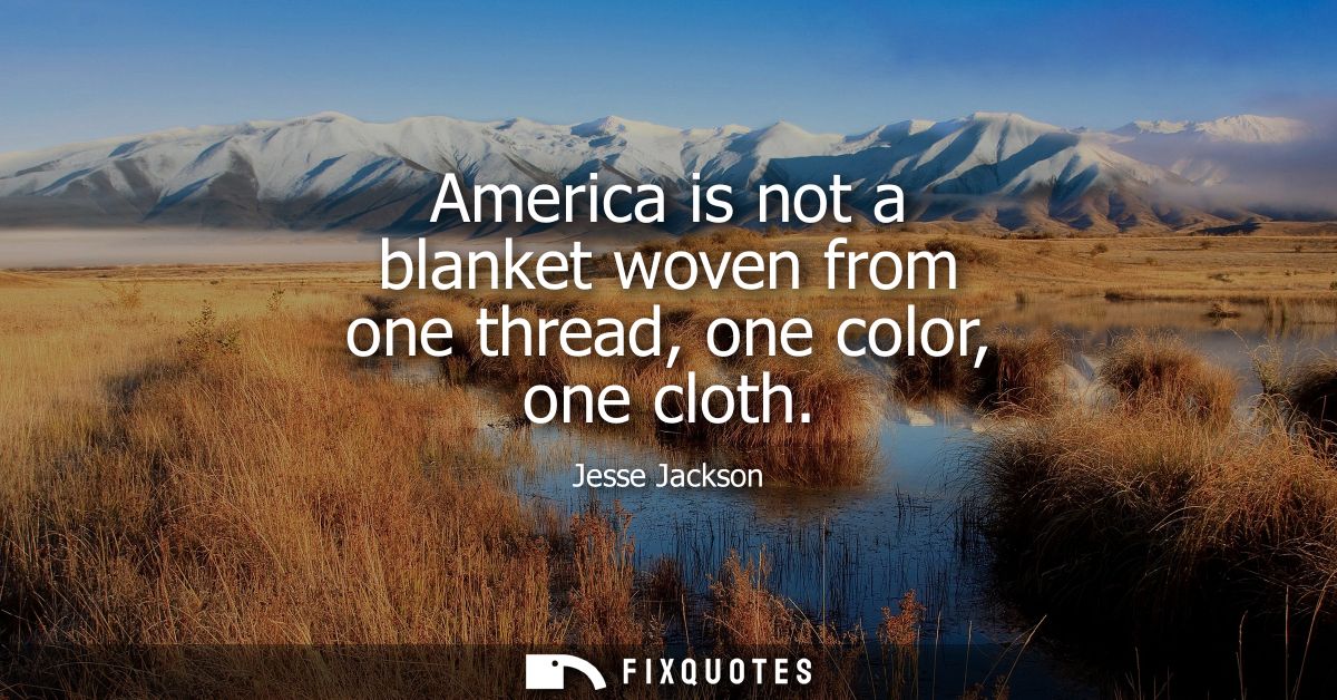 America is not a blanket woven from one thread, one color, one cloth
