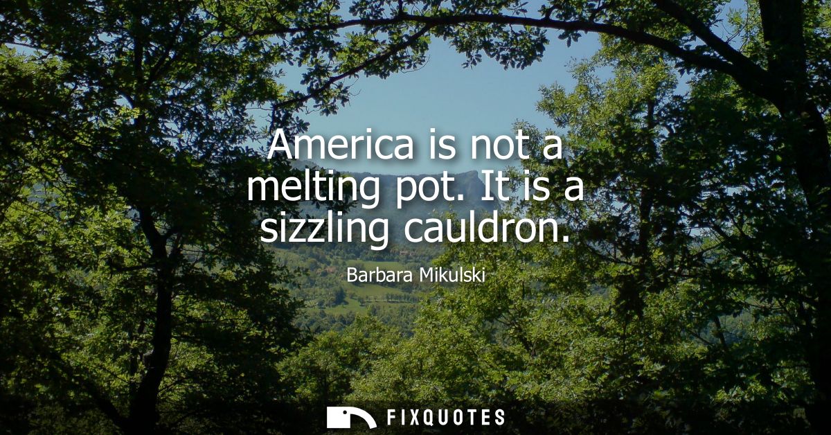 America is not a melting pot. It is a sizzling cauldron