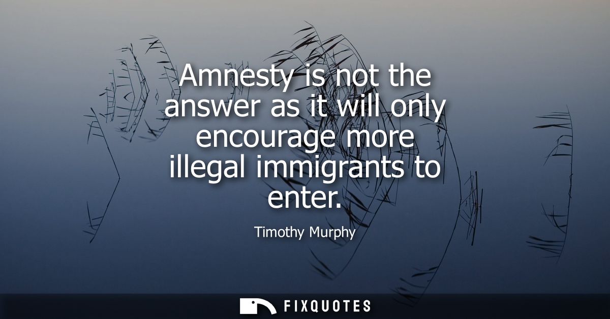 Amnesty is not the answer as it will only encourage more illegal immigrants to enter
