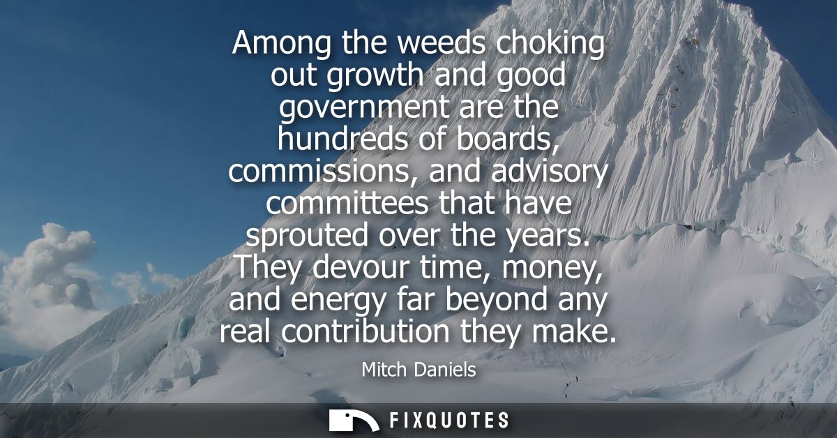Among the weeds choking out growth and good government are the hundreds of boards, commissions, and advisory committees 