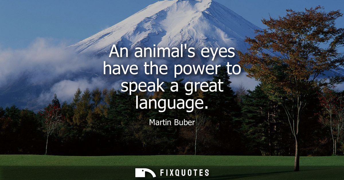 An animals eyes have the power to speak a great language