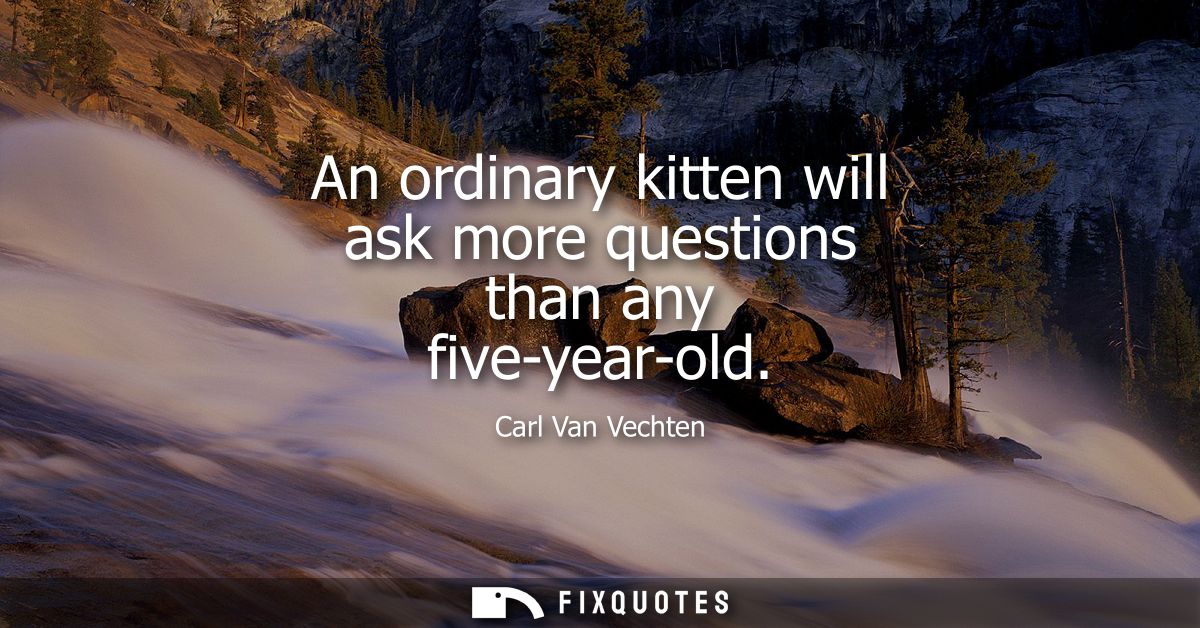 An ordinary kitten will ask more questions than any five-year-old