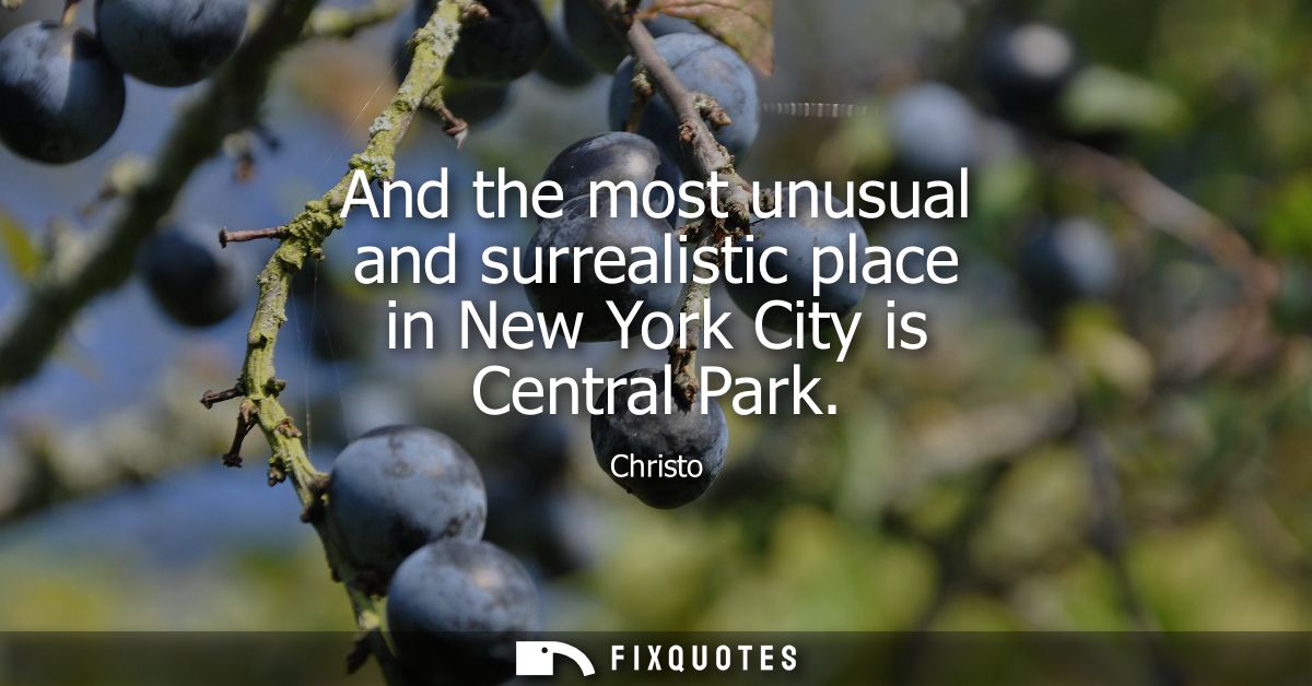 And the most unusual and surrealistic place in New York City is Central Park