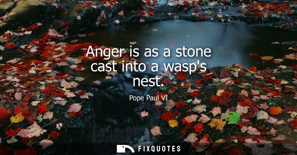 Anger is as a stone cast into a wasps nest