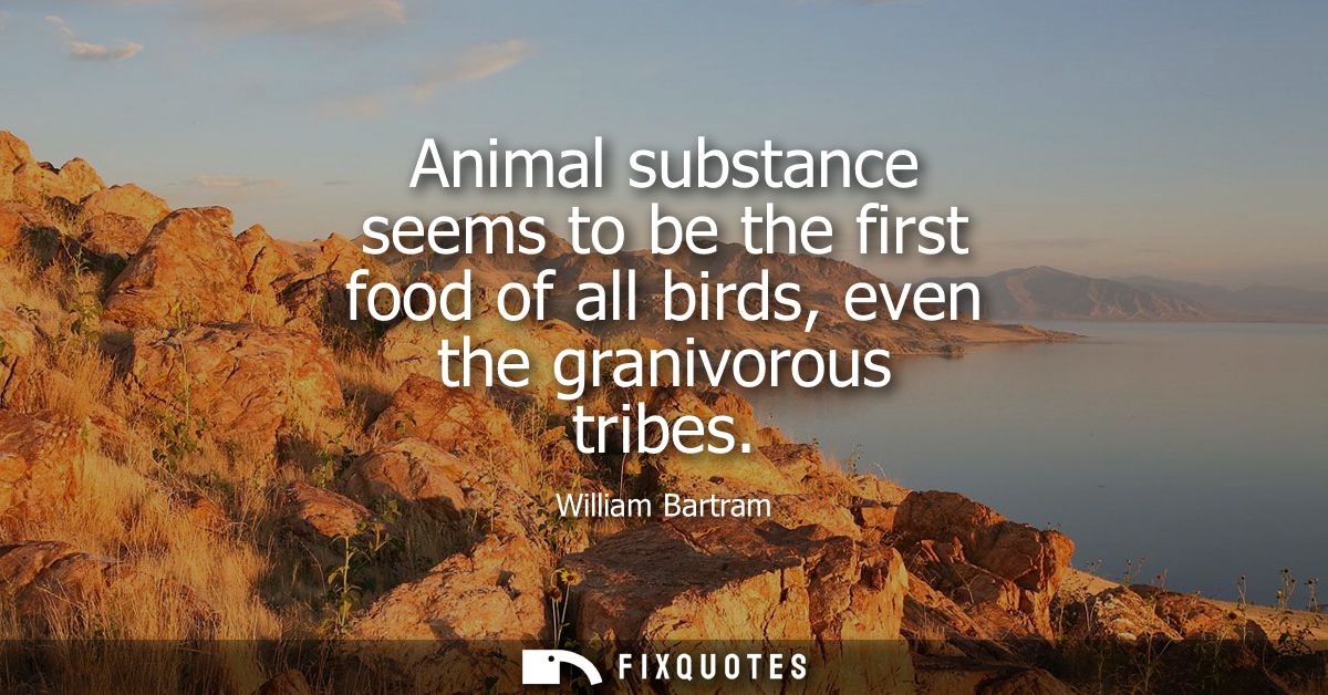 Animal substance seems to be the first food of all birds, even the granivorous tribes