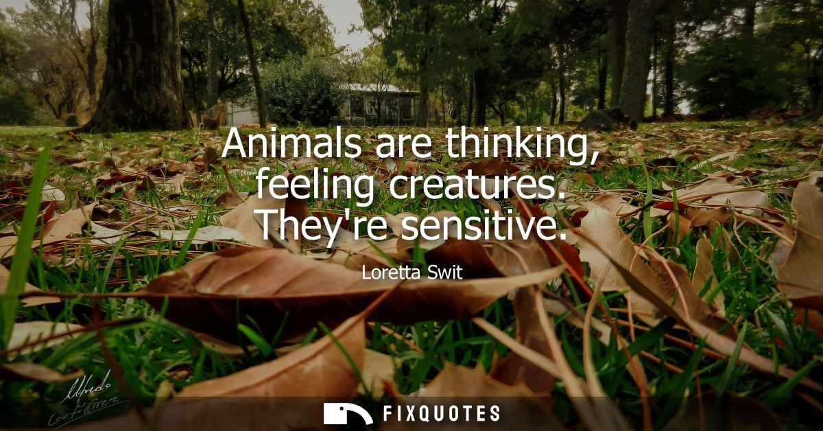 Animals are thinking, feeling creatures. Theyre sensitive