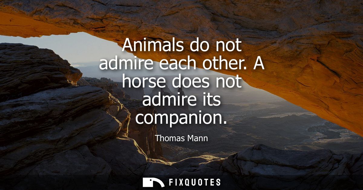 Animals do not admire each other. A horse does not admire its companion