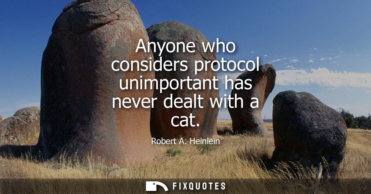 Anyone who considers protocol unimportant has never dealt with a cat
