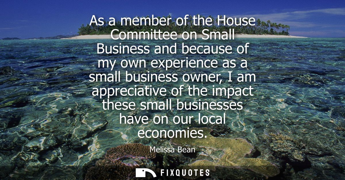 As a member of the House Committee on Small Business and because of my own experience as a small business owner, I am ap