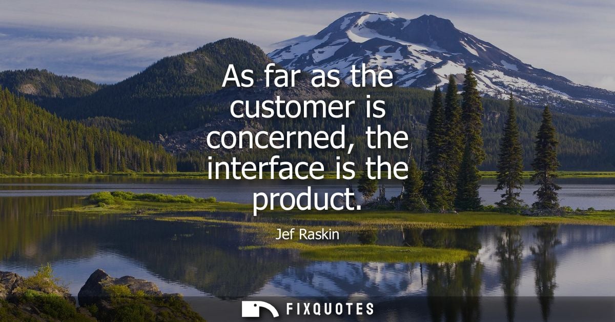 As far as the customer is concerned, the interface is the product