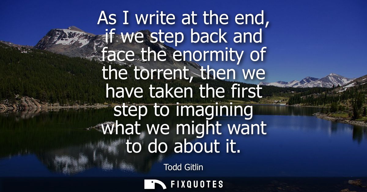 As I write at the end, if we step back and face the enormity of the torrent, then we have taken the first step to imagin