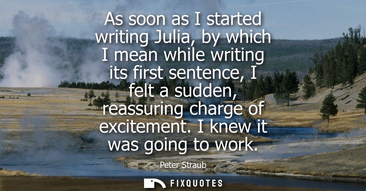 As soon as I started writing Julia, by which I mean while writing its first sentence, I felt a sudden, reassuring charge